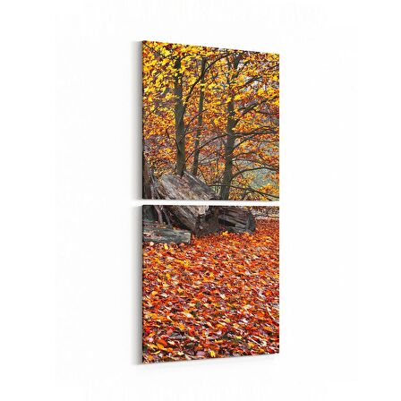 Olla 13279K2D Doğa / Manzara Görseli Kare 2'li Dikey Kanvas Tablo (Ölçü: 30X65)
