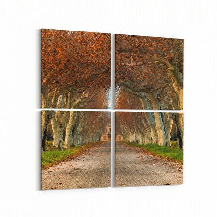 Olla 13353K4 Doğa / Manzara Görseli Kare 4'lü Kanvas Tablo (Ölçü: 145X145)