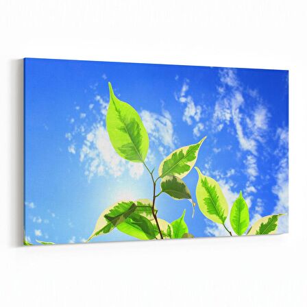 Olla 10988Y Ağaç Görseli Yatay Kanvas Tablo (Ölçü: 30X20)