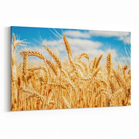 Olla 13295Y Doğa / Manzara Görseli Yatay Kanvas Tablo (Ölçü: 120X80)