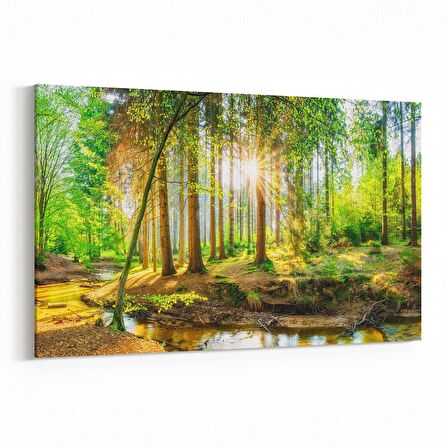 Olla 14301Y Doğa / Manzara Görseli Yatay Kanvas Tablo (Ölçü: 90X60)