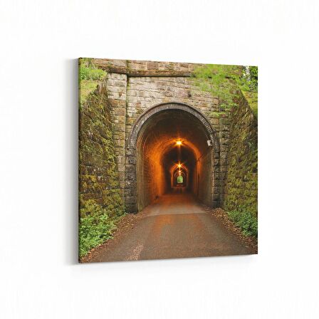Olla 18556K Yapı Görseli Kare Kanvas Tablo (Ölçü: 25X25)