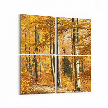 Olla 14576K4 Doğa / Manzara Görseli Kare 4'lü Kanvas Tablo (Ölçü: 125X125)