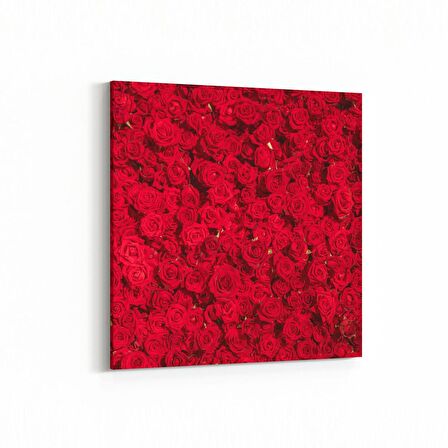 Olla 11639K Çiçek Görseli Kare Kanvas Tablo (Ölçü: 30X30)