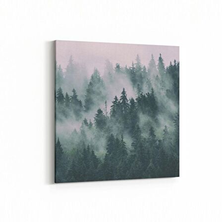 Olla 14427K Doğa / Manzara Görseli Kare Kanvas Tablo (Ölçü: 25X25)