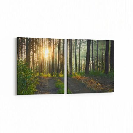 Olla 13833K2Y Doğa / Manzara Görseli Kare 2'li Yatay Kanvas Tablo (Ölçü: 65X30)