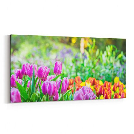 Olla 13958YD Doğa / Manzara Görseli Yatay Dar Kanvas Tablo (Ölçü: 60X30)