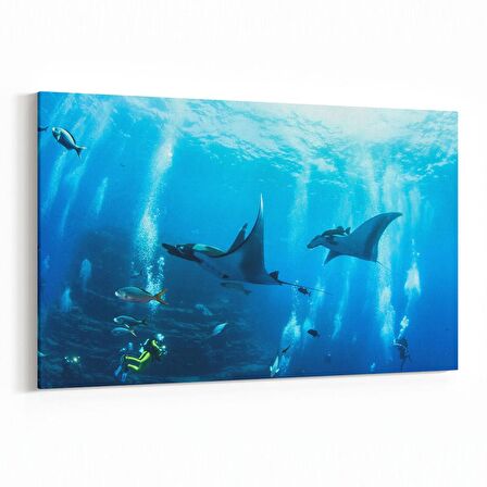 Olla 12957Y Deniz / Okyanus Görseli Yatay Kanvas Tablo (Ölçü: 45X30)