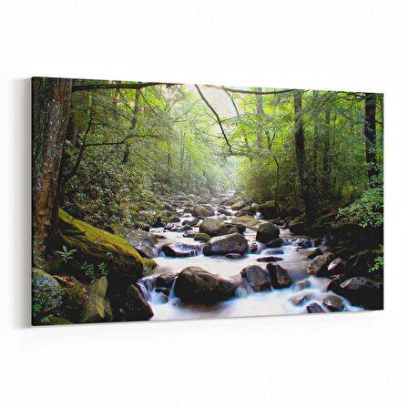 Olla 14033Y Doğa / Manzara Görseli Yatay Kanvas Tablo (Ölçü: 90X60)