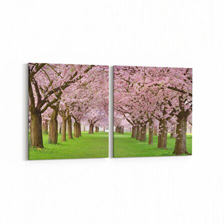 Olla 14054K2Y Doğa / Manzara Görseli Kare 2'li Yatay Kanvas Tablo (Ölçü: 145X70)