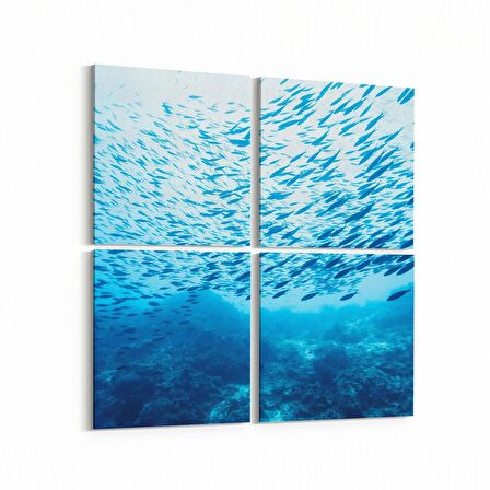 Olla 12081K4 Akvaryum / Balık Görseli Kare 4'lü Kanvas Tablo (Ölçü: 65X65)