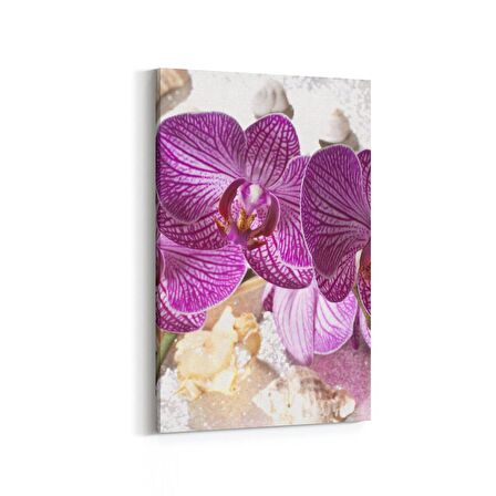 Olla 11652D Orkide Çiçek Görseli Dikey Kanvas Tablo (Ölçü: 20X30)