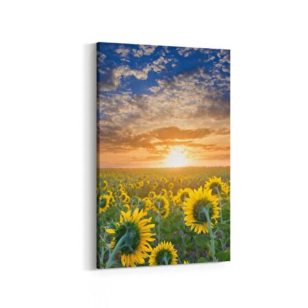 Olla 15916D Günbatımı Görseli Dikey Kanvas Tablo (Ölçü: 60X90)