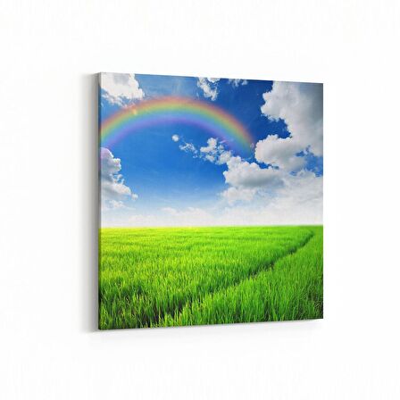 Olla 14622K Doğa / Manzara Görseli Kare Kanvas Tablo (Ölçü: 25X25)