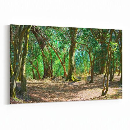 Olla 13679Y Doğa / Manzara Görseli Yatay Kanvas Tablo (Ölçü: 150X100)