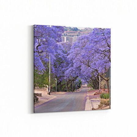 Olla 14312K Doğa / Manzara Görseli Kare Kanvas Tablo (Ölçü: 25X25)