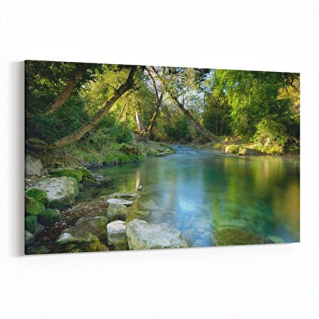 Olla 14611Y Doğa / Manzara Görseli Yatay Kanvas Tablo (Ölçü: 90X60)