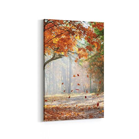 Olla 14558D Doğa / Manzara Görseli Dikey Kanvas Tablo (Ölçü: 20X30)