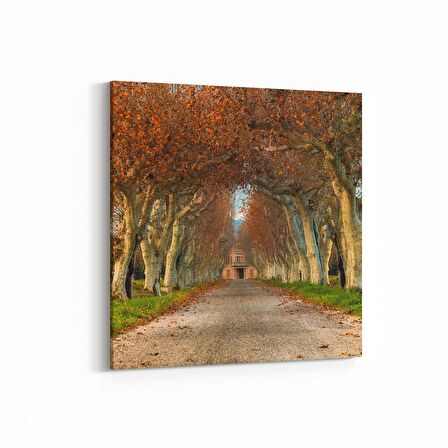 Olla 13353K Doğa / Manzara Görseli Kare Kanvas Tablo (Ölçü: 30X30)