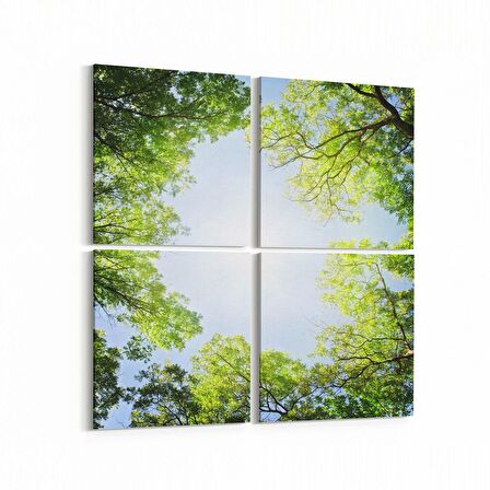 Olla 10749K4 Ağaç Görseli Kare 4'lü Kanvas Tablo (Ölçü: 145X145)