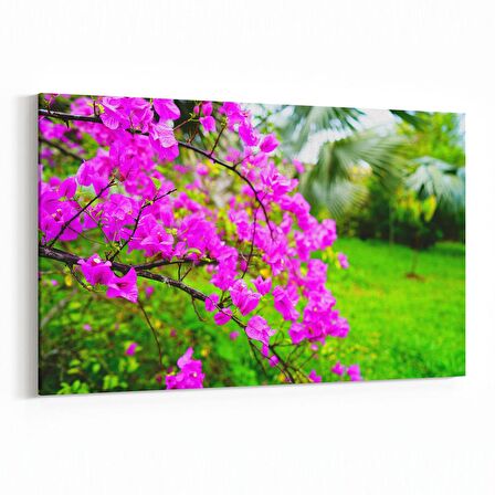 Olla 13558Y Doğa / Manzara Görseli Yatay Kanvas Tablo (Ölçü: 45X30)