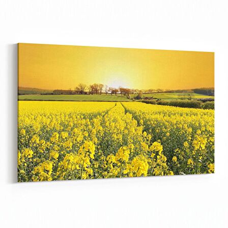 Olla 13536Y Doğa / Manzara Görseli Yatay Kanvas Tablo (Ölçü: 150X100)