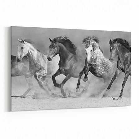 Olla 12462Y Hayvanlar Alemi Görseli Yatay Kanvas Tablo (Ölçü: 150X100)