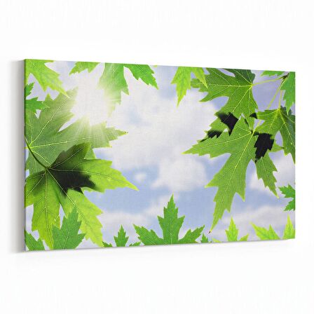 Olla 10484Y Ağaç Görseli Yatay Kanvas Tablo (Ölçü: 70X50)