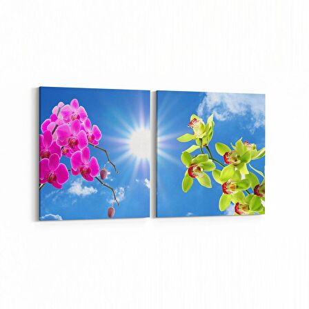 Olla 10643K2Y Ağaç Görseli Kare 2'li Yatay Kanvas Tablo (Ölçü: 145X70)