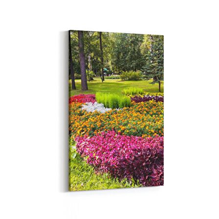 Olla 13334D Doğa / Manzara Görseli Dikey Kanvas Tablo (Ölçü: 60X90)