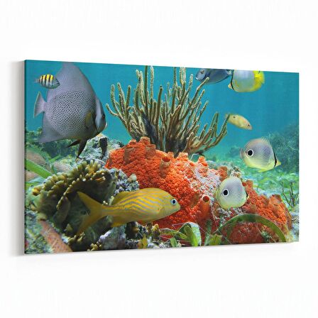 Olla 12064Y Akvaryum / Balık Görseli Yatay Kanvas Tablo (Ölçü: 70X50)