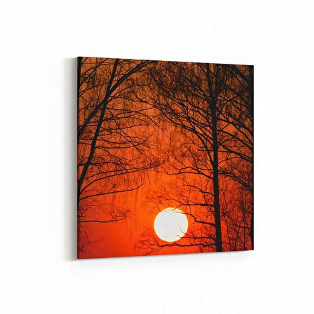 Olla 15997K Günbatımı Görseli Kare Kanvas Tablo (Ölçü: 30X30)