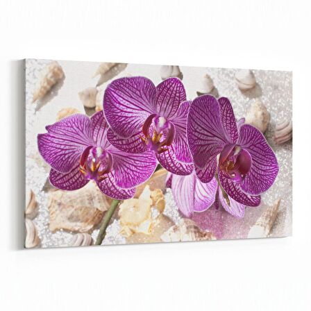 Olla 11652Y Orkide Çiçek Görseli Yatay Kanvas Tablo (Ölçü: 30X20)