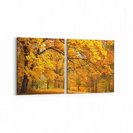 Olla 13229K2Y Doğa / Manzara Görseli Kare 2'li Yatay Kanvas Tablo (Ölçü: 65X30)