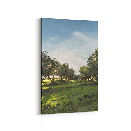 Olla 14244D Doğa / Manzara Görseli Dikey Kanvas Tablo (Ölçü: 60X90)