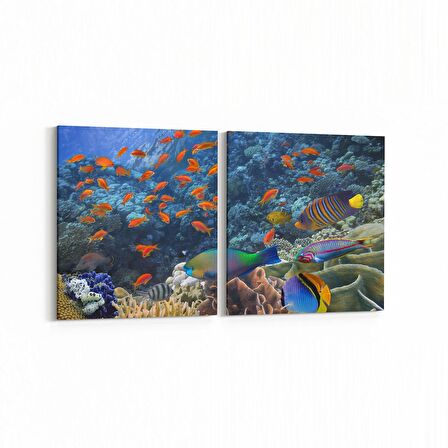 Olla 12163K2Y Akvaryum / Balık Görseli Kare 2'li Yatay Kanvas Tablo (Ölçü: 125X60)