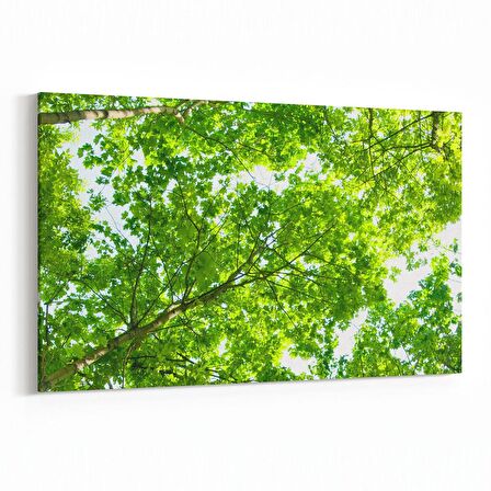 Olla 11045Y Ağaç Görseli Yatay Kanvas Tablo (Ölçü: 30X20)