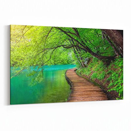 Olla 13696Y Doğa / Manzara Görseli Yatay Kanvas Tablo (Ölçü: 120X80)