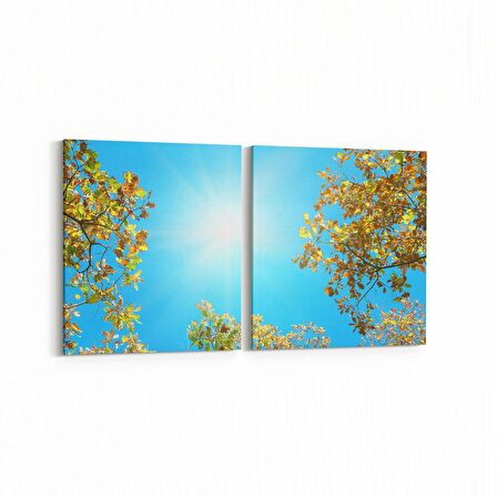 Olla 10520K2Y Ağaç Görseli Kare 2'li Yatay Kanvas Tablo (Ölçü: 125X60)