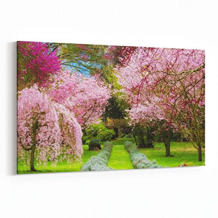 Olla 13895Y Doğa / Manzara Görseli Yatay Kanvas Tablo (Ölçü: 45X30)