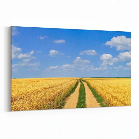 Olla 13214Y Doğa / Manzara Görseli Yatay Kanvas Tablo (Ölçü: 150X100)