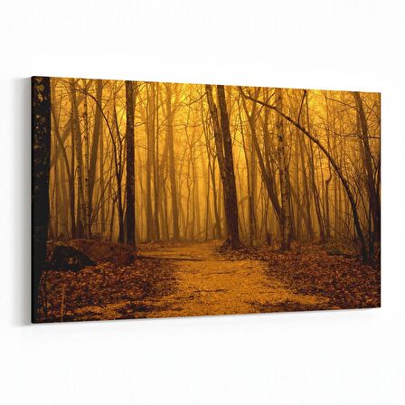 Olla 13885Y Doğa / Manzara Görseli Yatay Kanvas Tablo (Ölçü: 90X60)