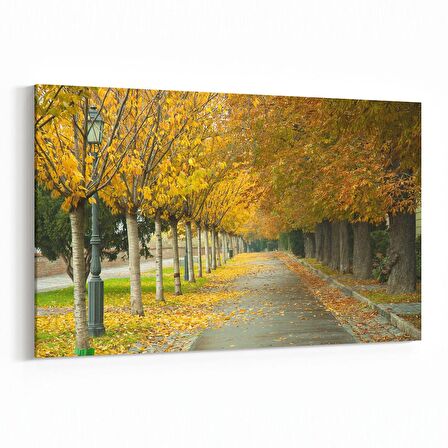 Olla 13525Y Doğa / Manzara Görseli Yatay Kanvas Tablo (Ölçü: 90X60)