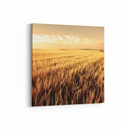 Olla 14008K Doğa / Manzara Görseli Kare Kanvas Tablo (Ölçü: 30X30)
