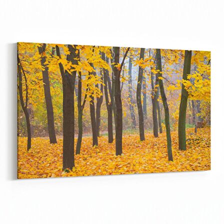 Olla 13596Y Doğa / Manzara Görseli Yatay Kanvas Tablo (Ölçü: 30X20)