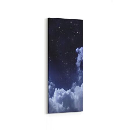 Olla 14656DI Gece Gökyüzü Görseli Dikey İnce Kanvas Tablo (Ölçü: 40X120)