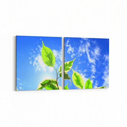 Olla 10988K2Y Ağaç Görseli Kare 2'li Yatay Kanvas Tablo (Ölçü: 85X40)