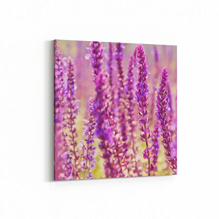 Olla 11578K Çiçek Görseli Kare Kanvas Tablo (Ölçü: 30X30)