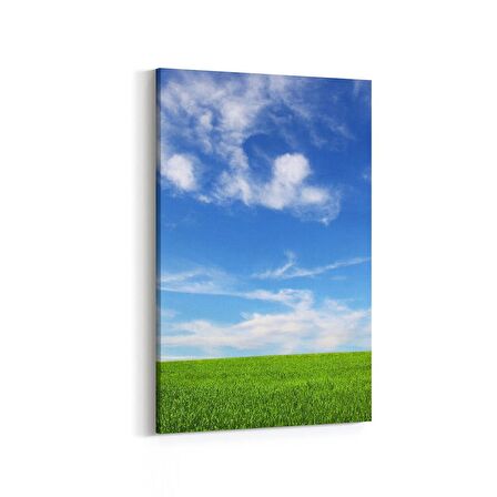 Olla 14465D Doğa / Manzara Görseli Dikey Kanvas Tablo (Ölçü: 60X90)