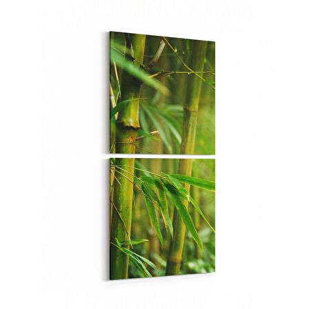 Olla 14620K2D Doğa / Manzara Görseli Kare 2'li Dikey Kanvas Tablo (Ölçü: 30X65)